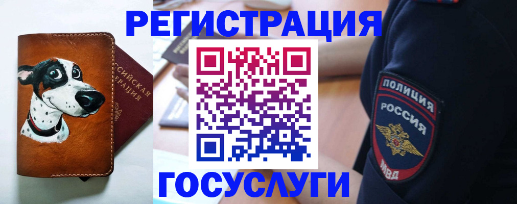 временная регистрация в квартире в Мытищах